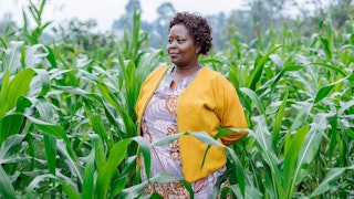 A woman standing among tall crops.