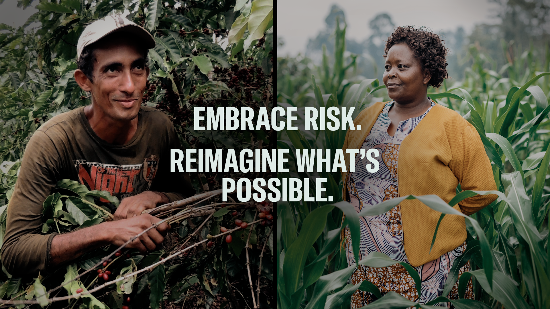 Embrace Risk. Reimagine What's Possible.