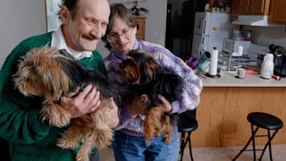 A couple with two dogs